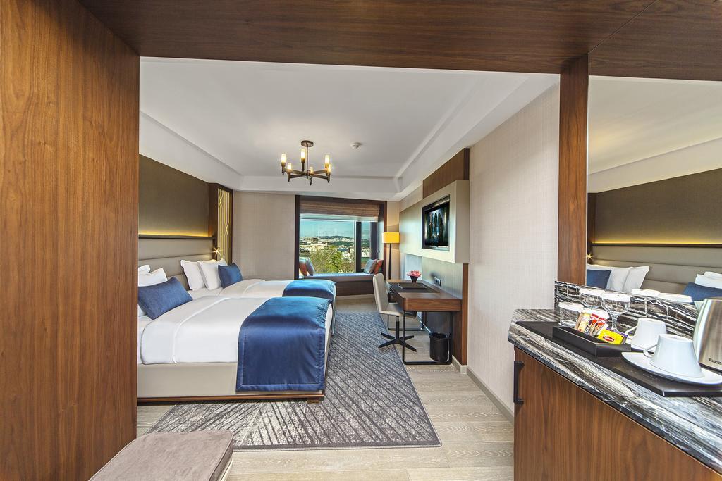 Standard Double or Twin Room
