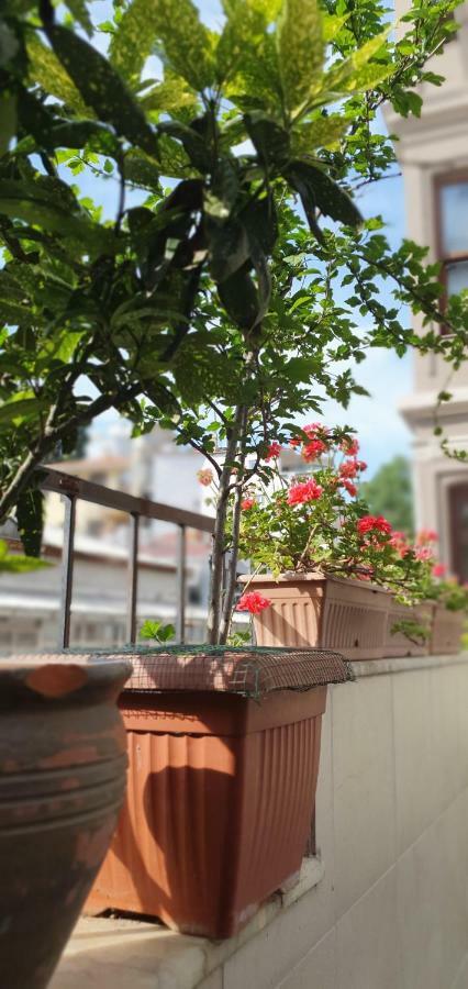 Two-Bedroom Apartment with Balcony and Terrace