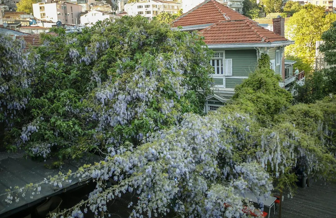 Loop Hotel Bosphorus Istanbul-1
