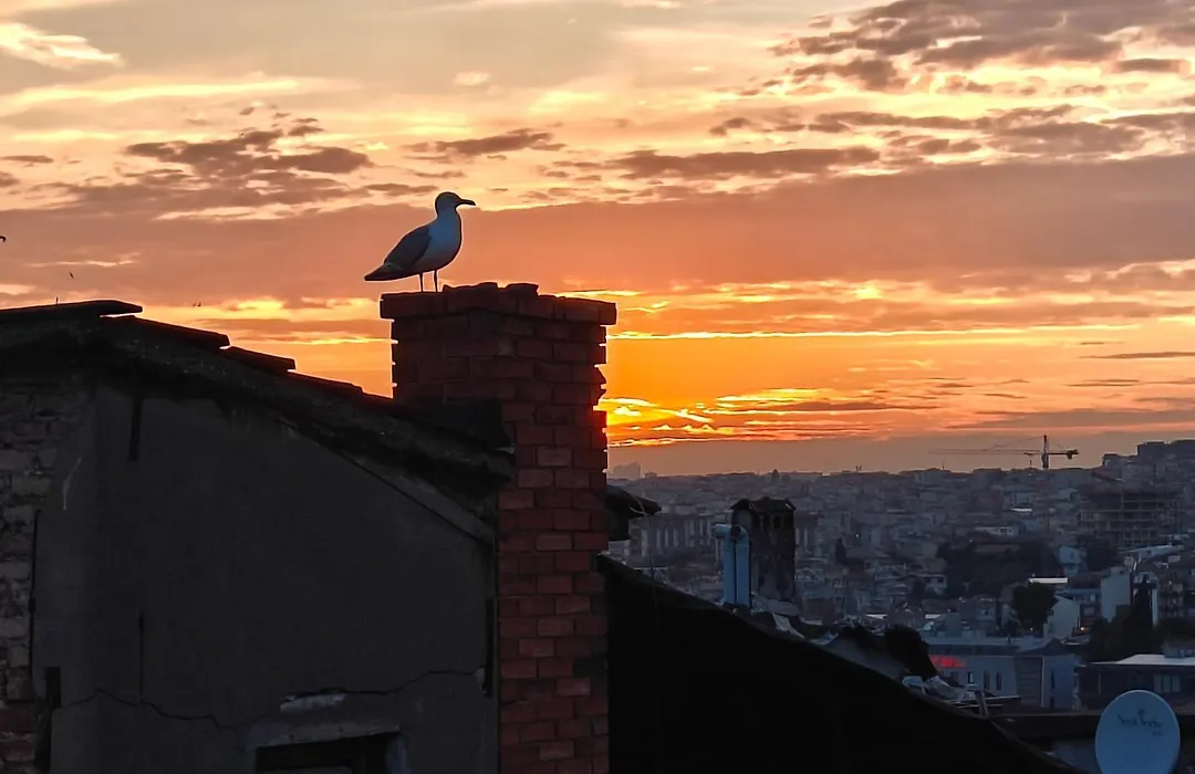 Kunterbunt Istanbul-1