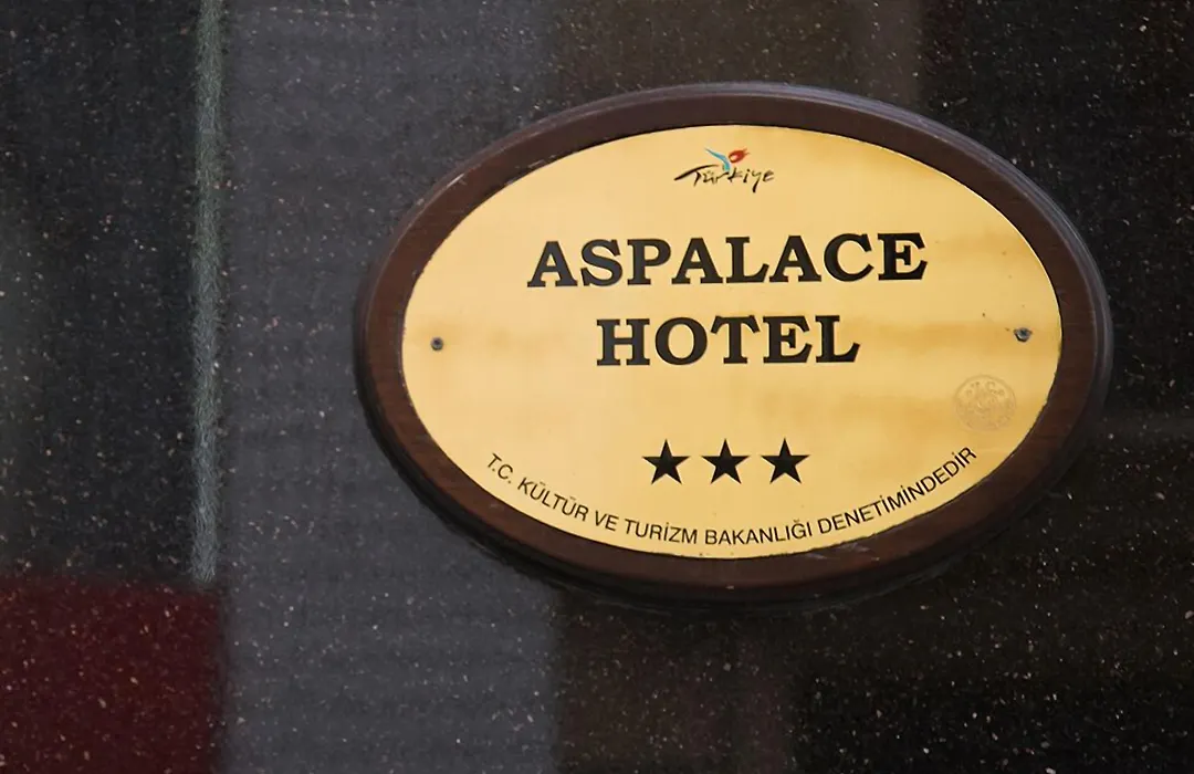 Aspalace Hotel The Istanbul Old City-1