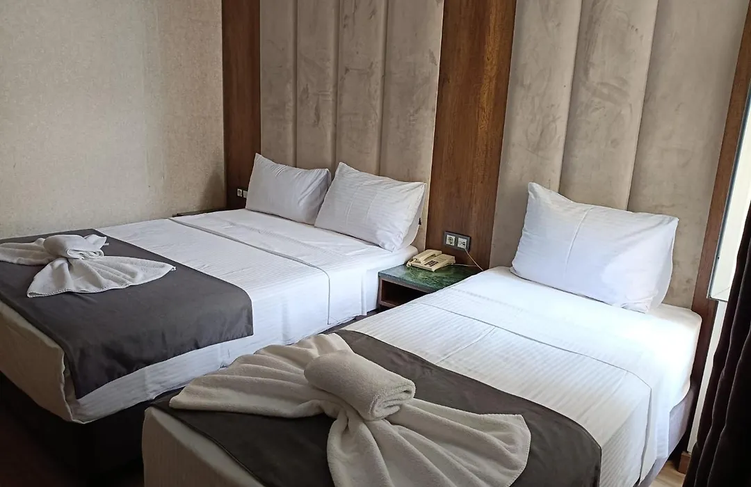Hotel Buyuk Paris-1