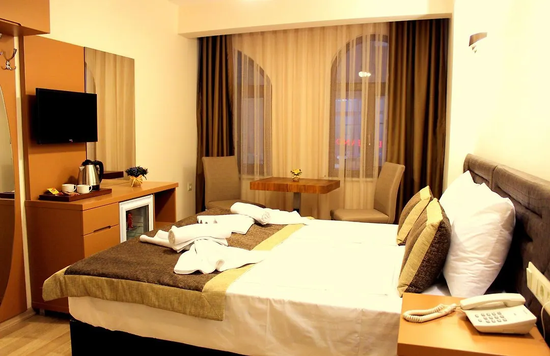 Milano Hotel & Spa Sultanahmet-1
