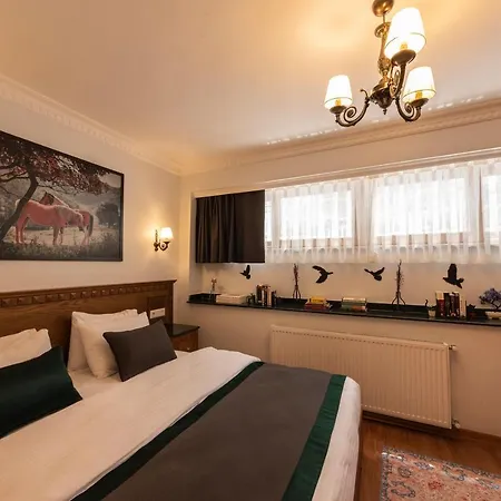 Duru Sultanahmet Apart & Suites-3