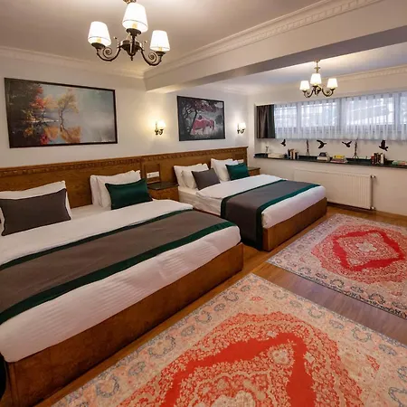 Duru Sultanahmet Apart&Suites-3