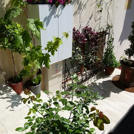 Angelos Home Hotel-3
