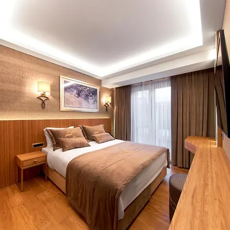 Lady Diana Hotel-2