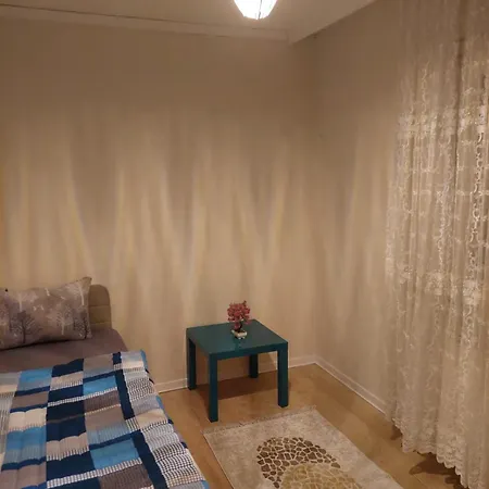 F.A.A Sabiha Goekcen-2