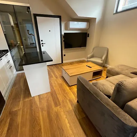 Arc House-2