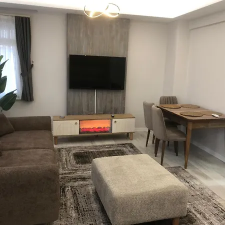 Zara'S Home In Istanbul-2