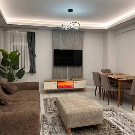 Zara'S Home In Istanbul-3