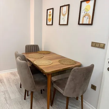 Zara'S Home In Istanbul-3