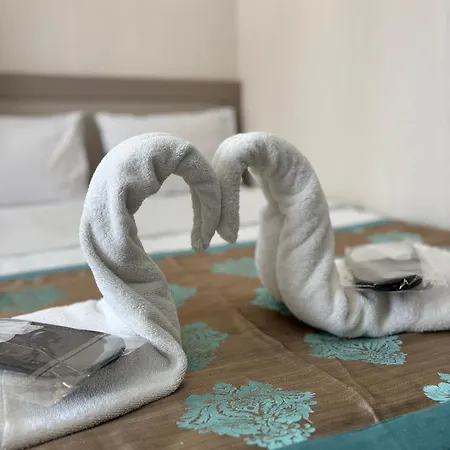 Fly Hotel-2