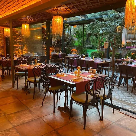 Olive Garden Apart-2