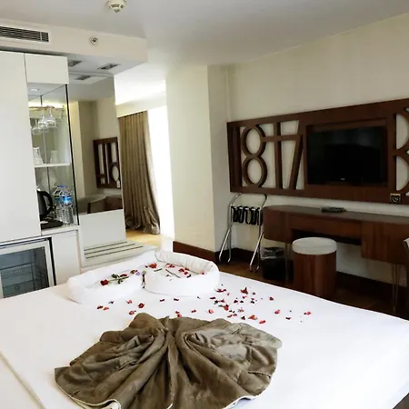 Victory Hotel & Spa Istanbul-3