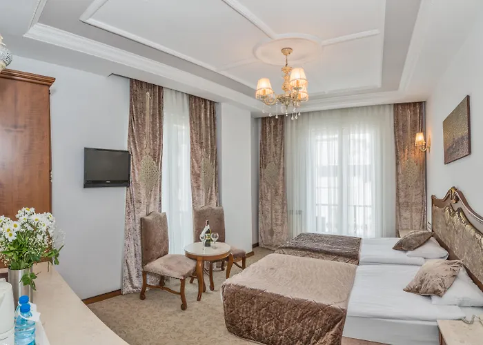 Antis Hotel-Special Category Istanbul, Türkei