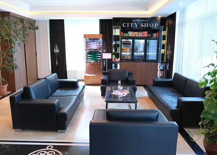 Asia City Hotel İstanbul, Türkiye