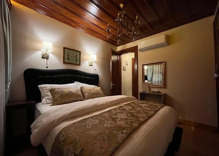 Lily Mansion Apartment Istanbul, Turkey