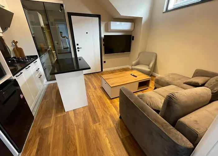 Arc House