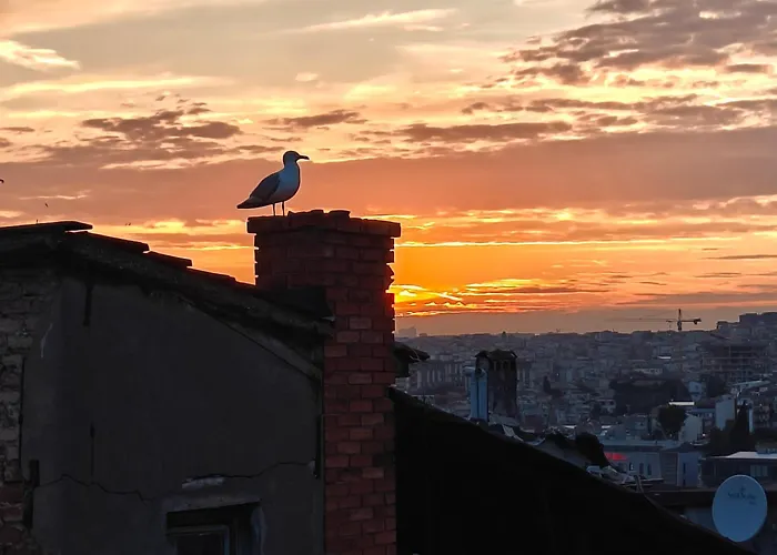 Kunterbunt Istanbul