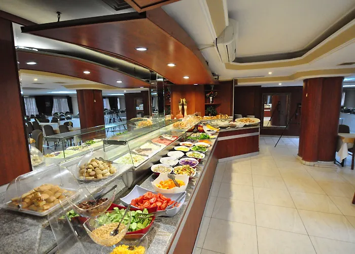 Hotel Buyuk Sahinler İstanbul, Türkiye