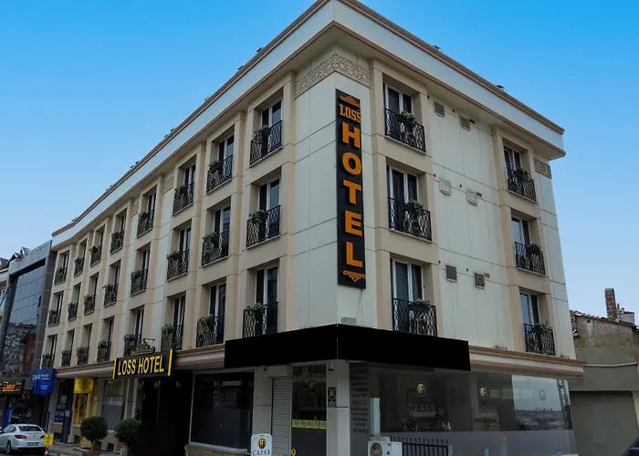 Loss Hotel