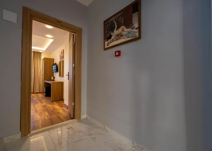 Hopefull Hotel Provincia di Provincia di Istanbul, Turchia