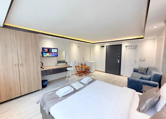 Blue Mansion Hotel & Flats Provincia di Provincia di Istanbul, Turchia