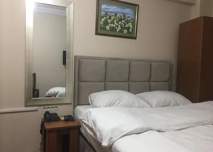 Paris Hotel İstanbul, Türkiye
