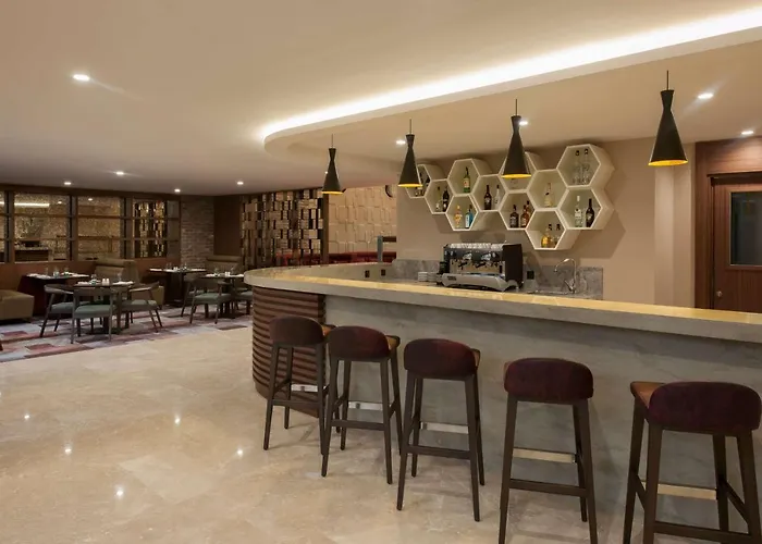 Radisson Blu